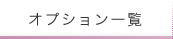 オプション一覧