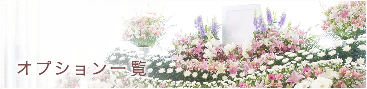 オプション