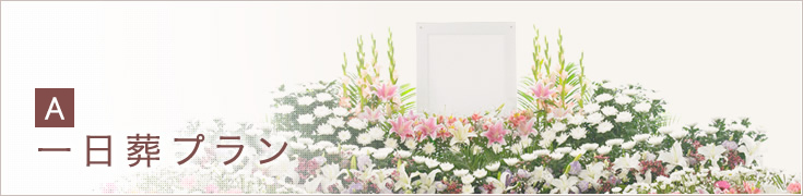 A:一日葬プラン